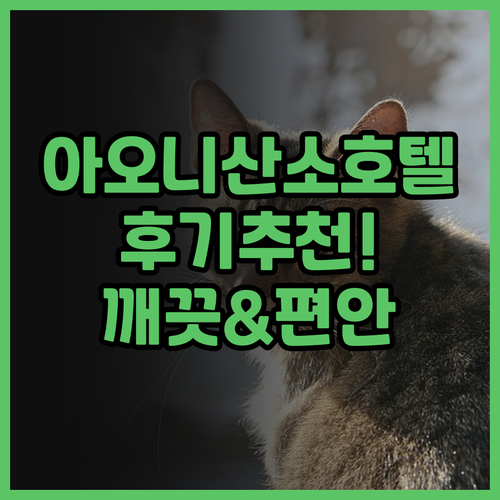 아오니 산소 호텔 후기 추천! 깨끗하