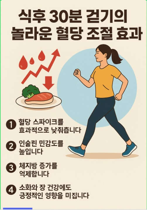 식후 걷기운동의 효과 