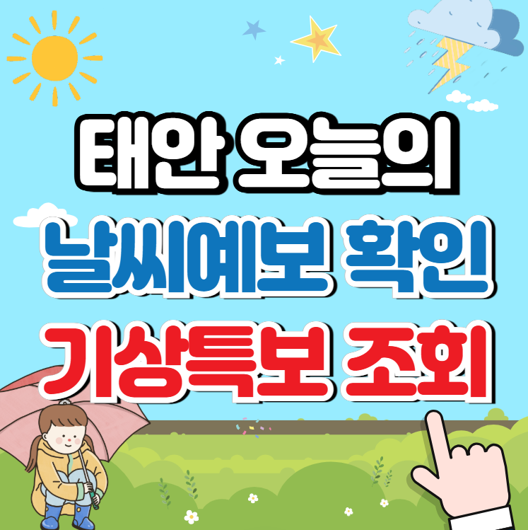 태안 날씨예보 및 기상특보 (단기예보)