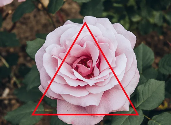 어도비 포토샵으로 도형을 삽입한 모습