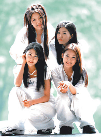 핑클 이미지