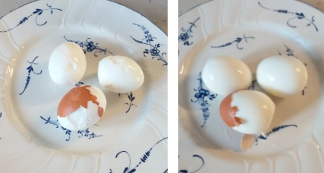 삶기전 물에 안담그고 삶은 계란(왼쪽)&#44; 삶기전 물에 담근 후 삶은 계란(오른쪽) 비교
