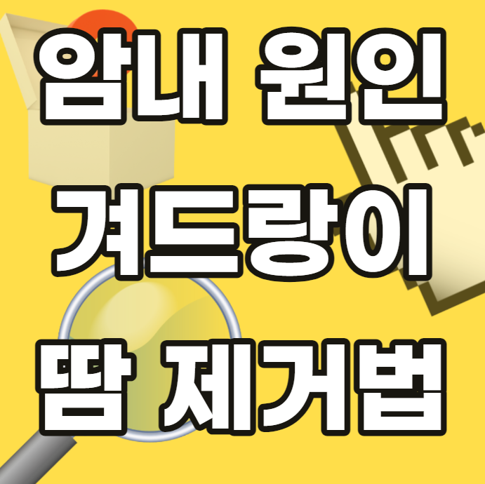 암내-원인-겨드랑이-땀-제거-방법