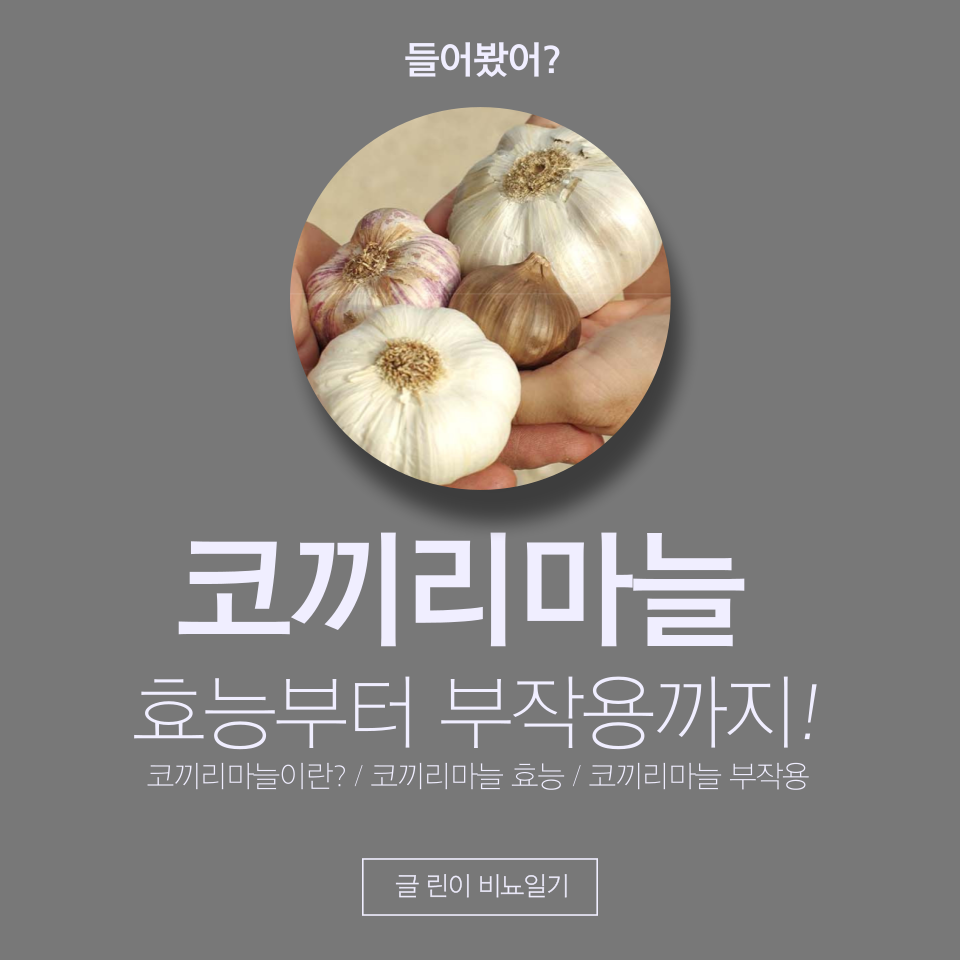  들어봤어? 코끼리마늘 효능부터 부작용까지!