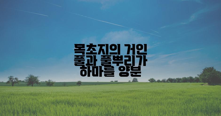 목초지의 거인 풀과 풀뿌리가 하마를 양분