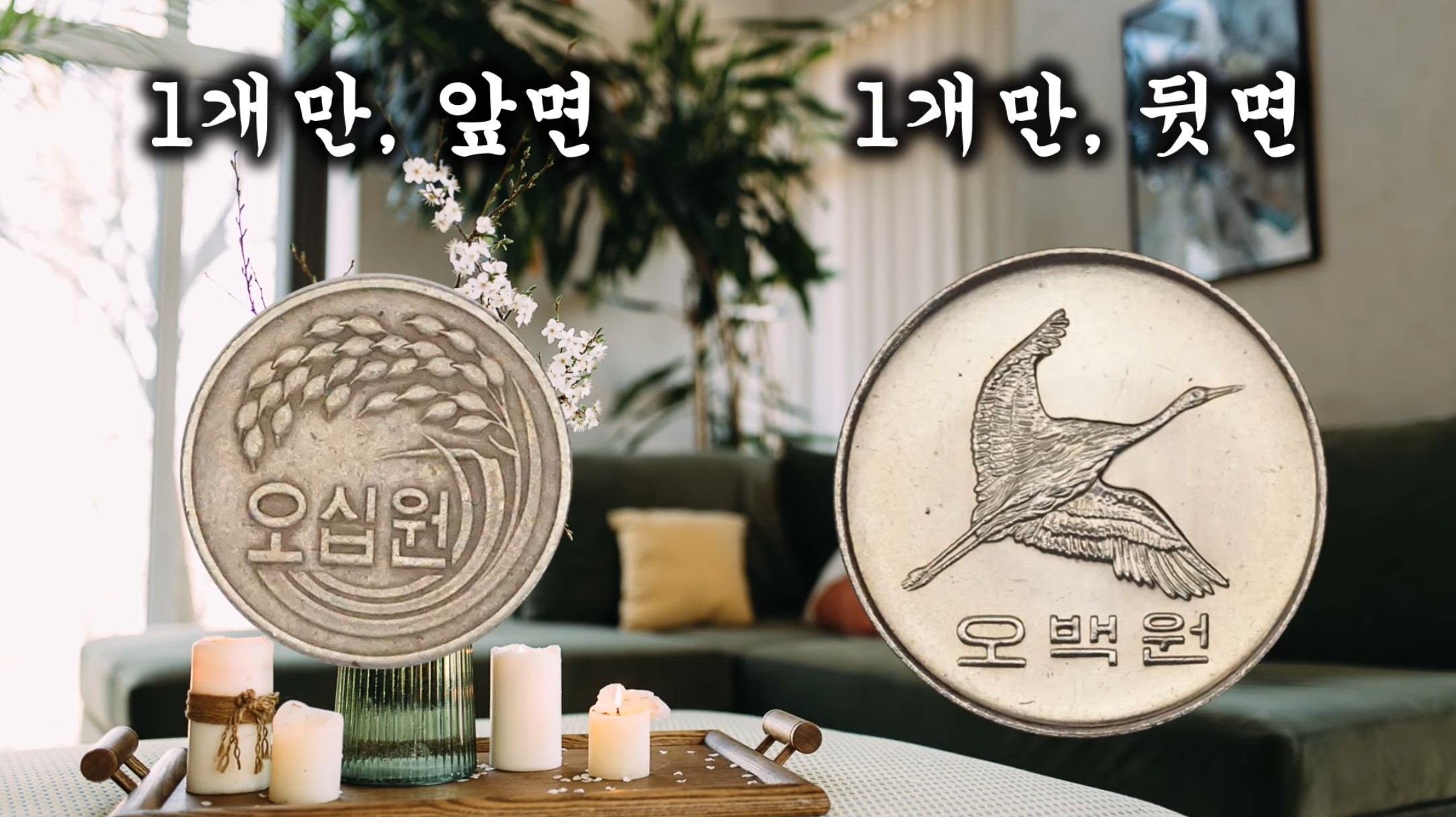 50원짜리 동전 앞면과 500원짜리 동전 뒷면