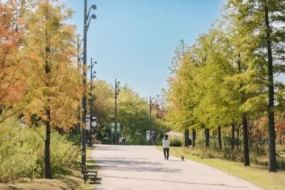 서울식물원 최초 야간 개장 보름밤의 정원 가든파티 in SEOUL 행사 소개 참여 신청 관람 방법 과학 유튜버 궤도 공연