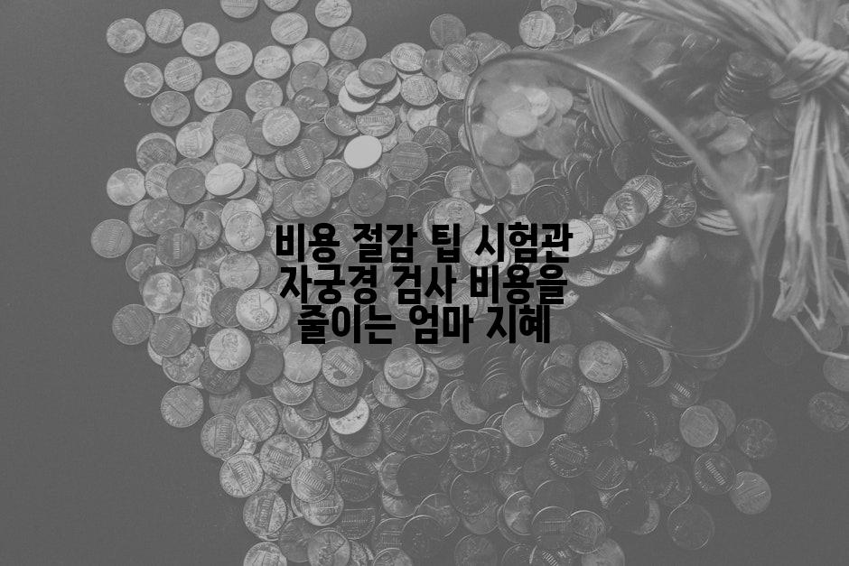 비용 절감 팁 시험관 자궁경 검사 비용을 줄이는 엄마 지혜