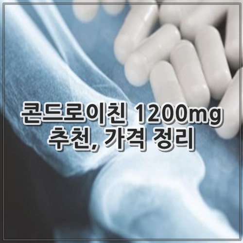 콘드로이친 1200mg 추천, 가격 정리