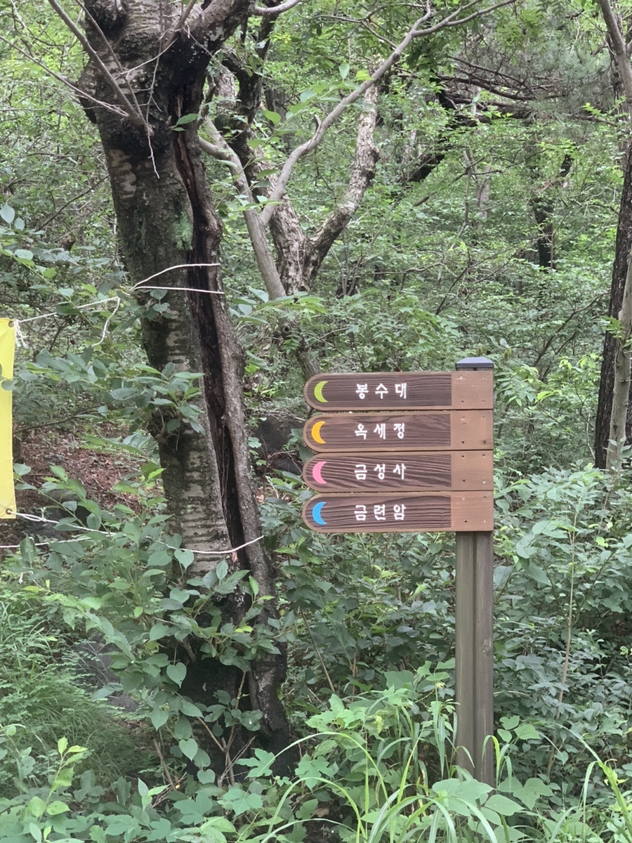 오르막40 이미지