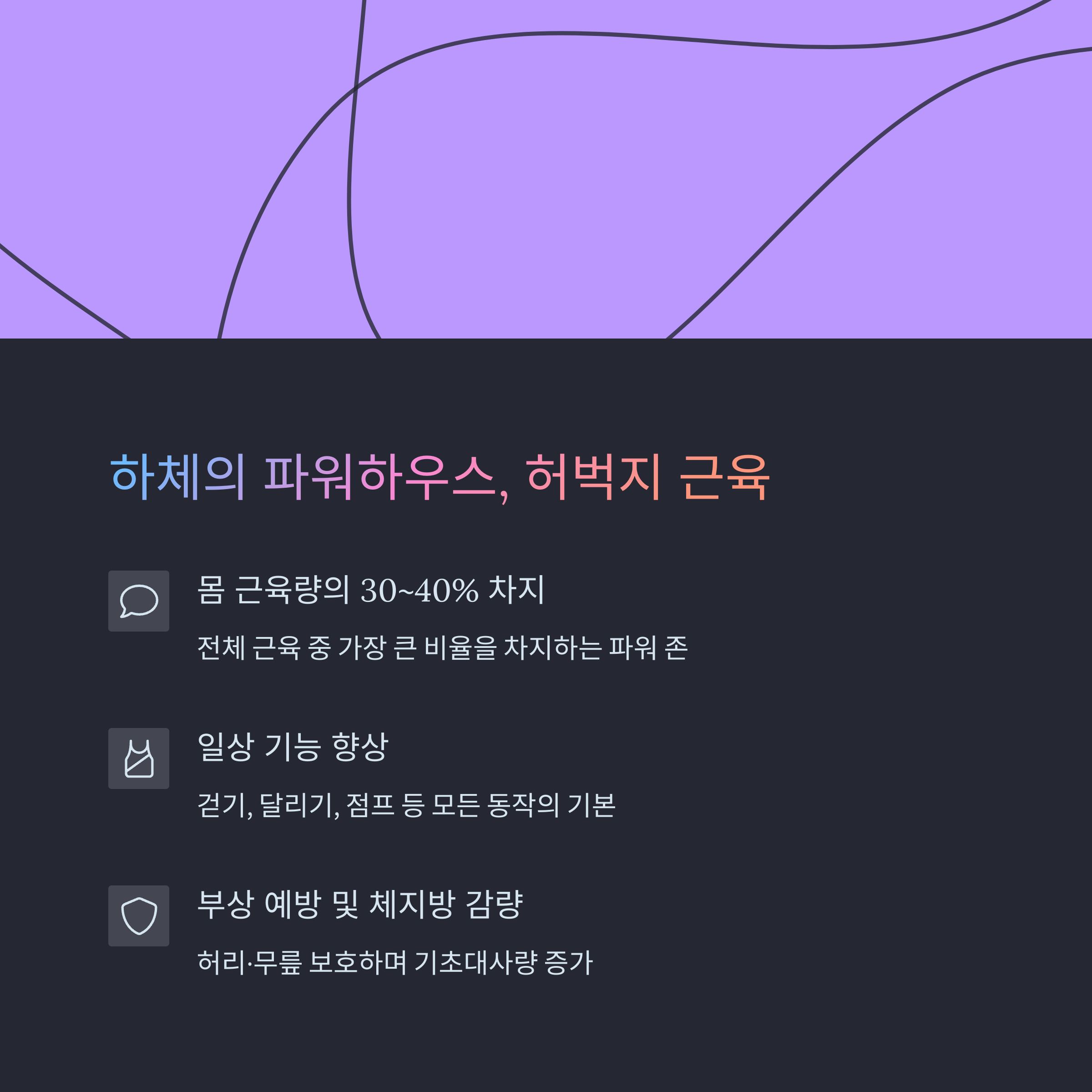 하체의 파워하우스, 허벅지 근육