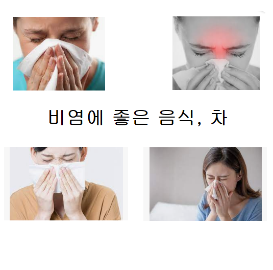 비염에 좋은 음식 차 좋은 식단 구성!
