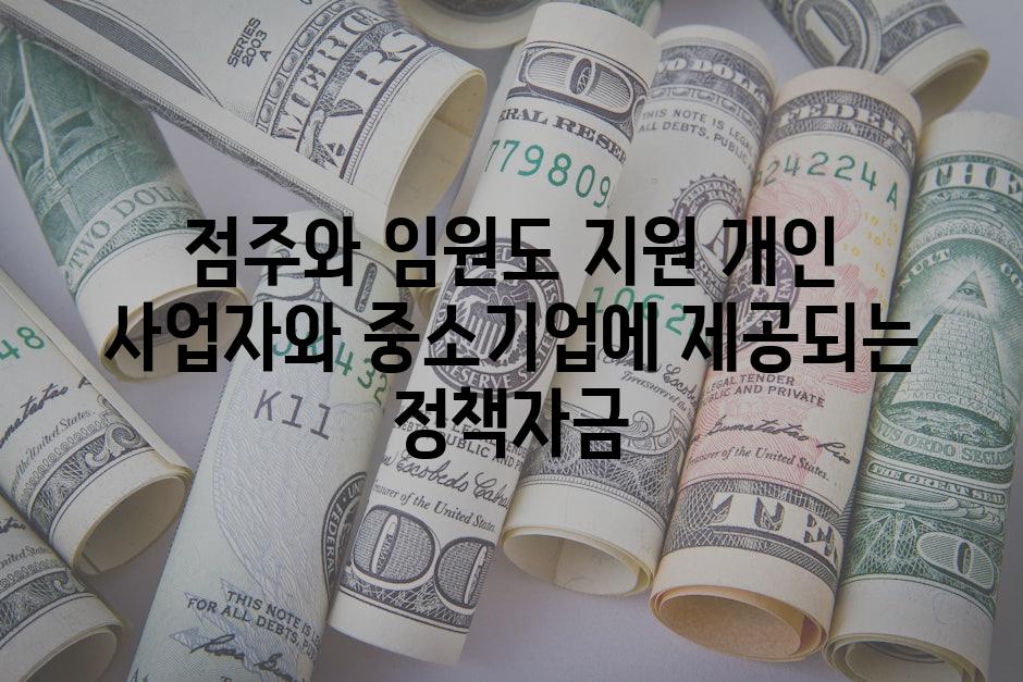 점주와 임원도 지원 개인 사업자와 중소기업에 제공되는 정책자금