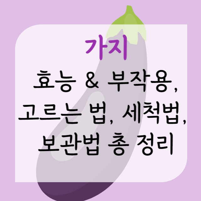 가지-효능-부작용-고르는법-세척법-보관법-안내-포스터