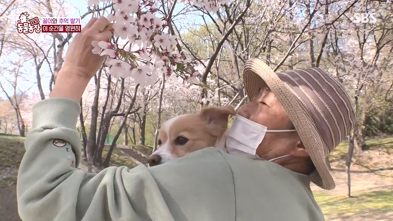 TV 동물농장.E1174.240603p-NEXT.mp4_20240602_155742.692.jpg