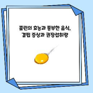 콜린의 효능과 풍부한 음식, 결핍 증상과 권장섭취량