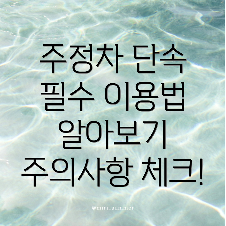 주정차단속 문자알림 서비스