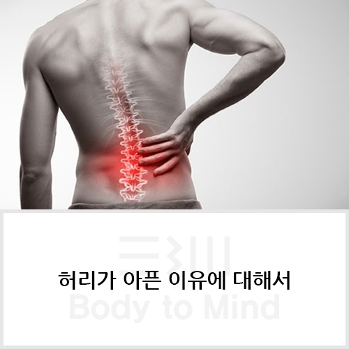  허리가 아픈 이유에 대해서 (low back pain)