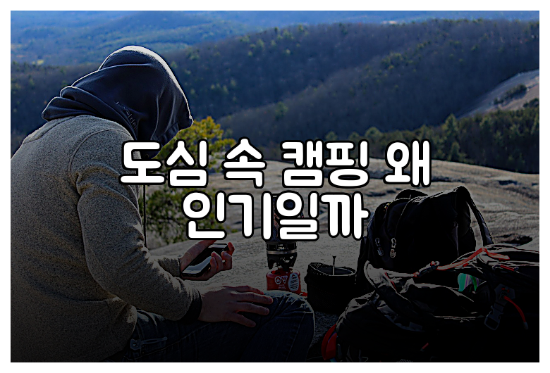 도심 속 캠핑 왜 인기일까
