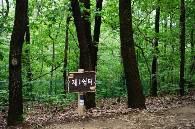 울창한 숲속에 제1쉼터 표지판&#44; 검은 바탕에 흰글씨&#44; 사각&#44;