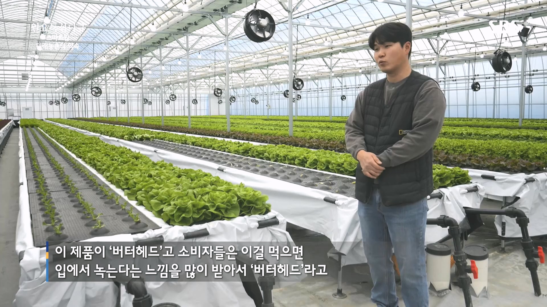 일요 특선 다큐멘터리.E348.240804p.H264-F1RST.mp4_20240805_201506.092.jpg