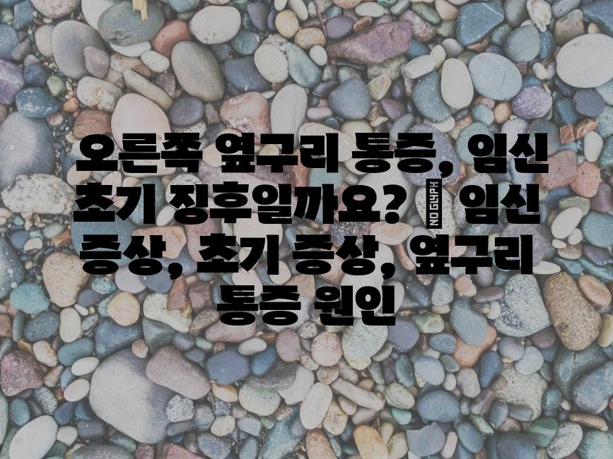 샘플 (82)