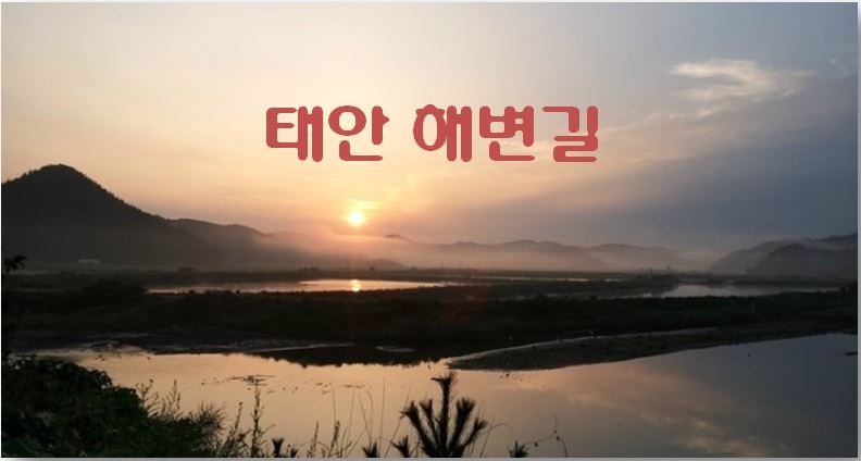  코로나19를 피해 떠나는 힐링여행 태안 해변길을 소개합니다. (명절 후유증 극복 힐링여행 / 태안 해안숲길)