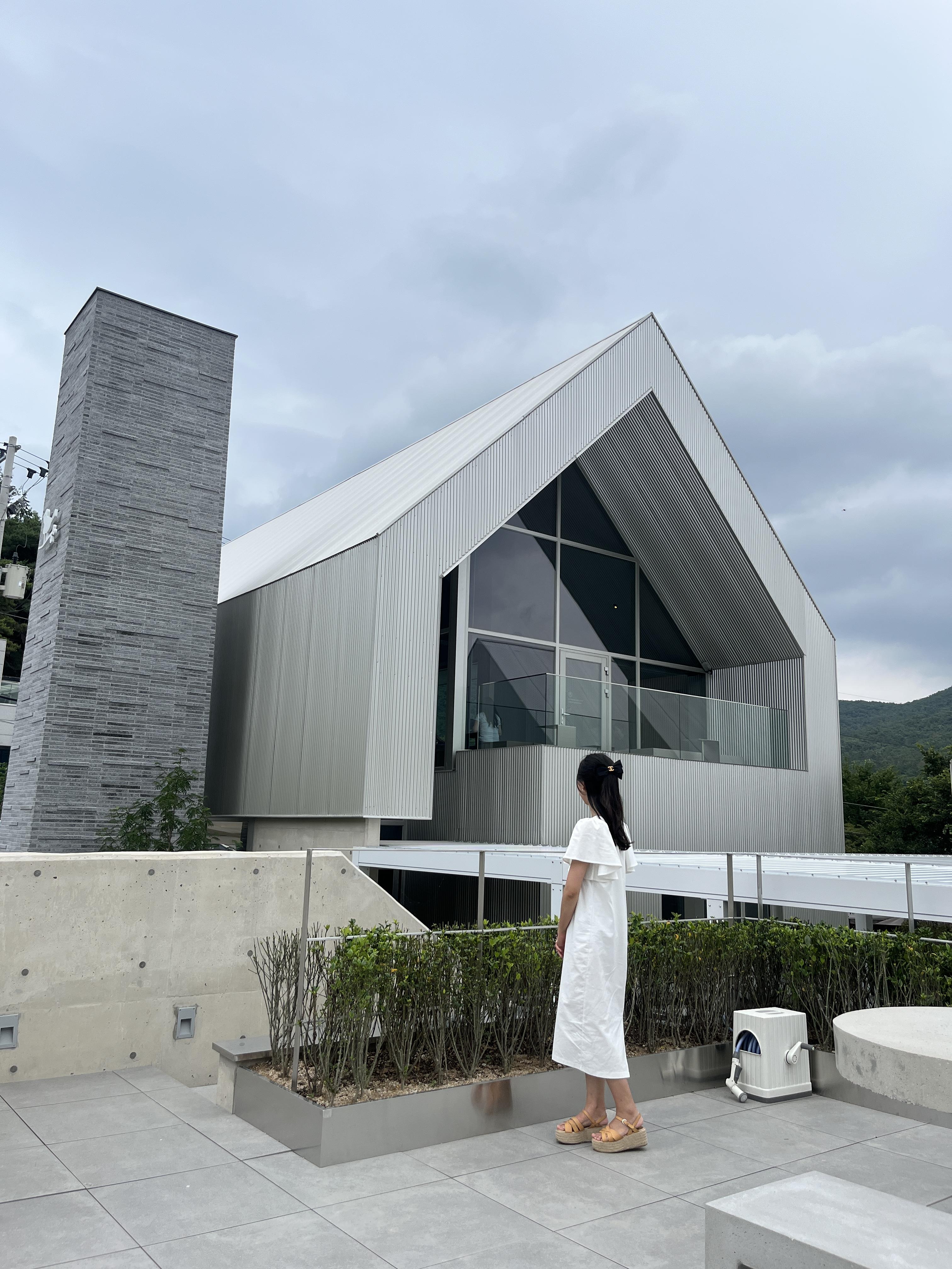 사진 담기