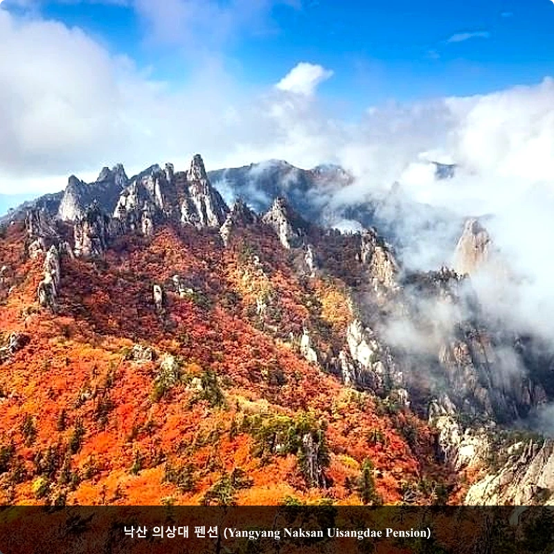 낙산 의상대 펜션 (Yangyang Naksan Uisangdae Pension)_4