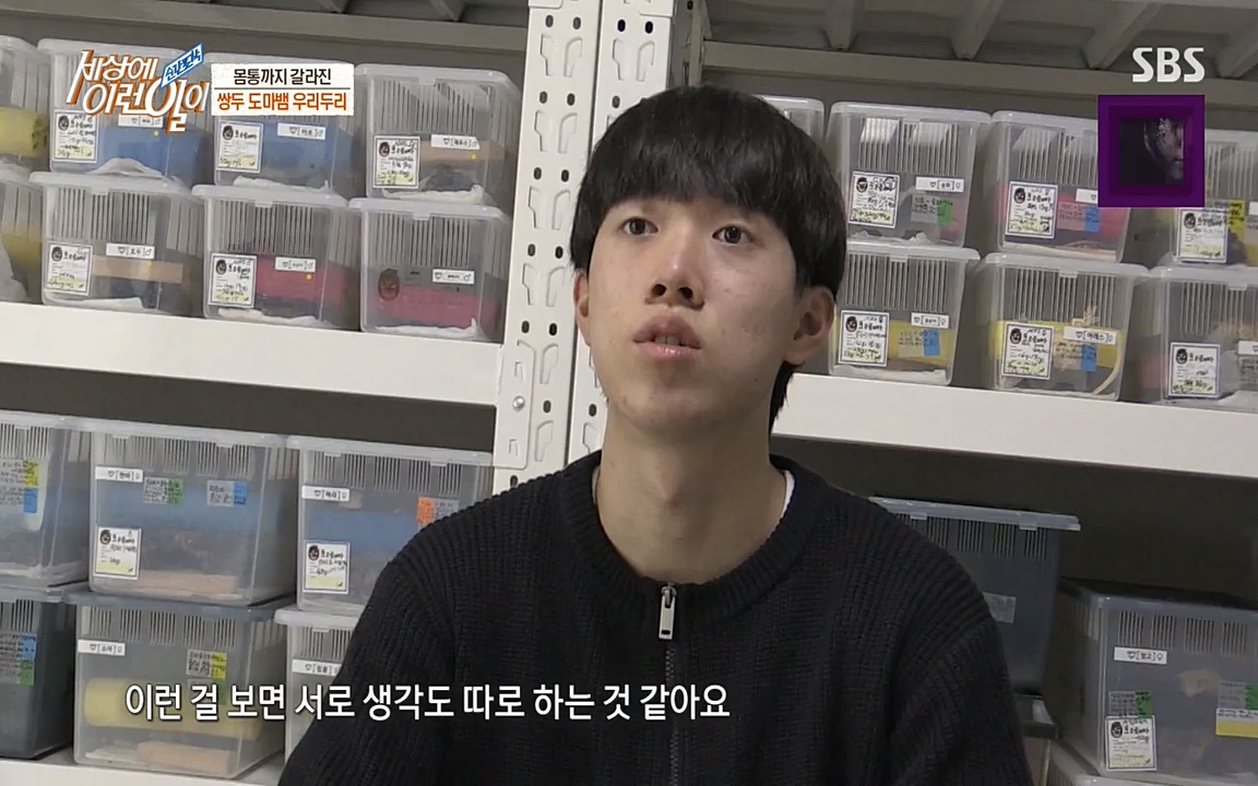 순간포착 세상에 이런일이.E1174.220406p-NEXT.mp4_20220406_174443.525.jpg