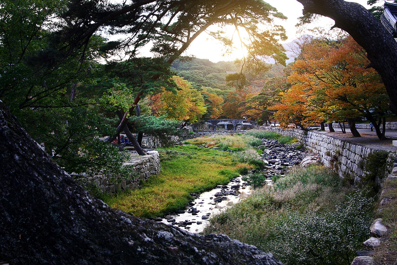 가을 단풍