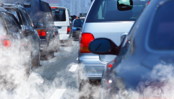 아토피성 피부염의 환경적 요인인 자동차매연 과 대기오염