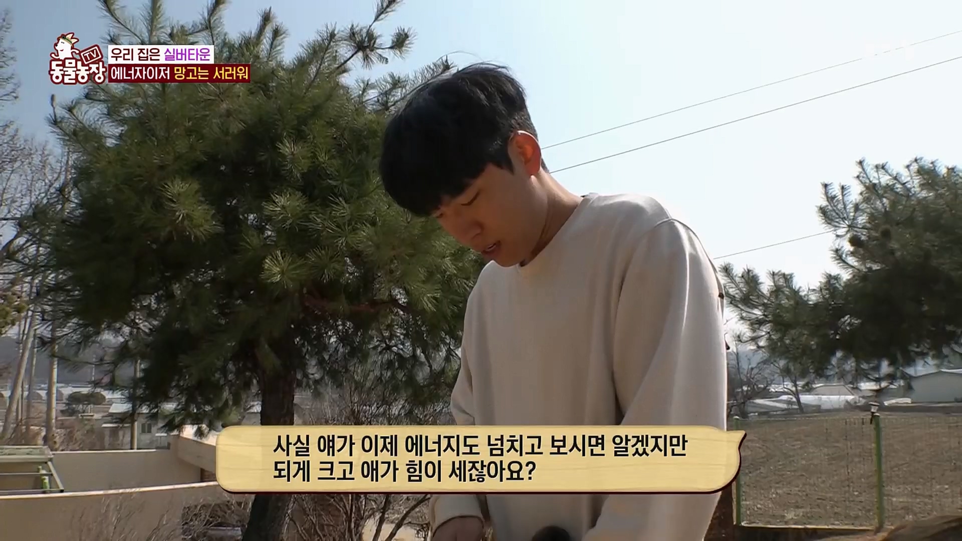 TV 동물농장.E1115.230409p.H264-F1RST.mp4_20230409_173055.866.jpg