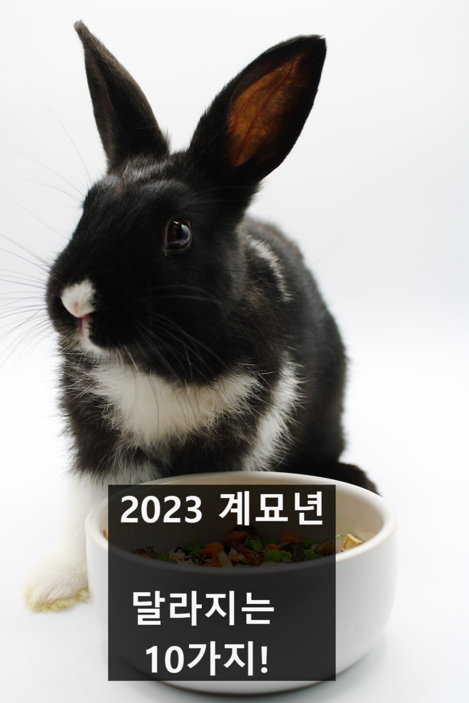  2023년 계묘년 달라지는 제도 10가지!