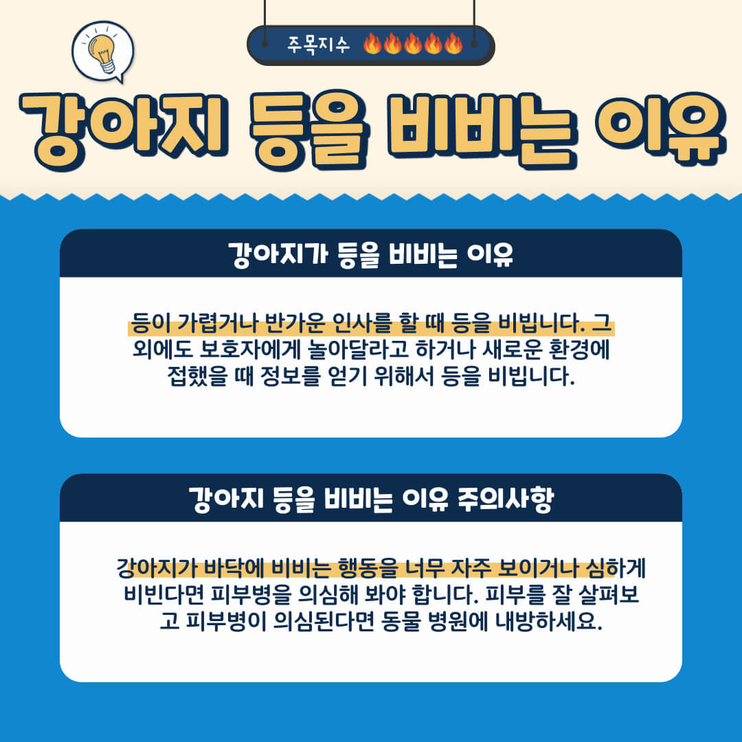 강아지가 등을 비비면 위험한 이유