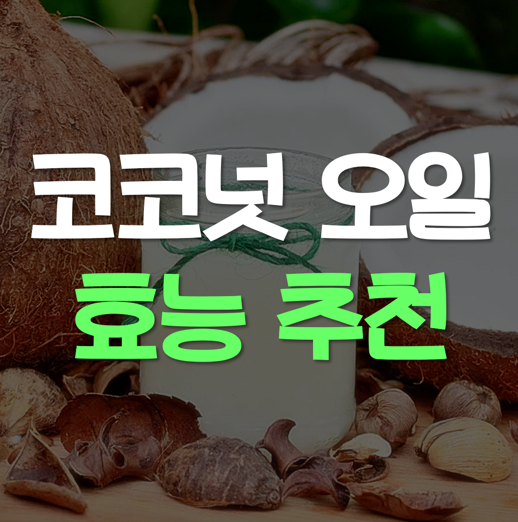  코코넛오일 효능 추천