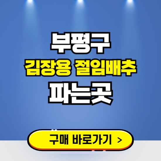 부평구 절임배추 사전예약 구입하는곳 ❘ 김장배추 파는곳 가격보기