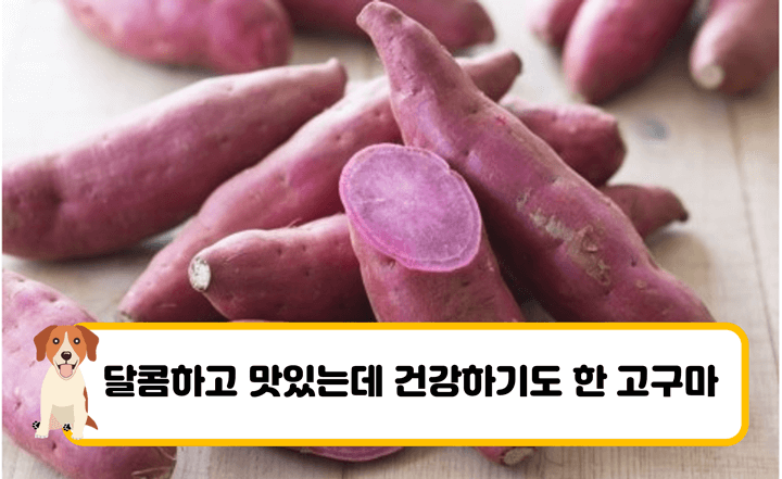 고구마더미_위에_반_잘린_자색고구마가_올려져있다