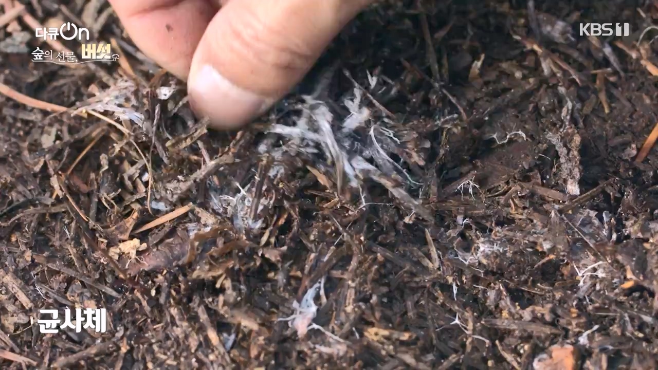 다큐 온.E227.231120p-NEXT.mp4_20231121_201940.975.jpg