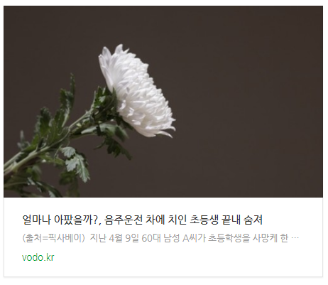  [오늘이슈] "얼마나 아팠을까?", 음주운전 차에 치인 초등생 끝내 숨져