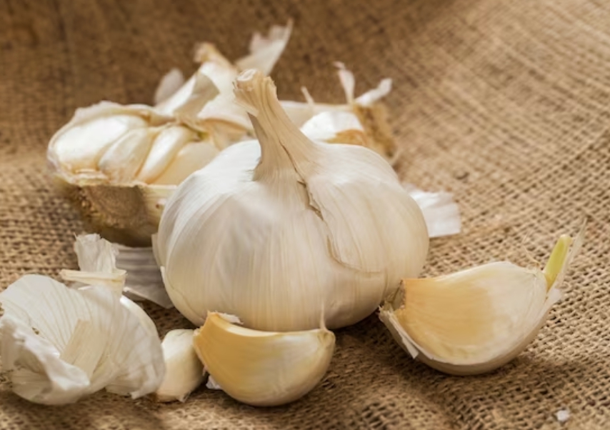 마늘의 효능 