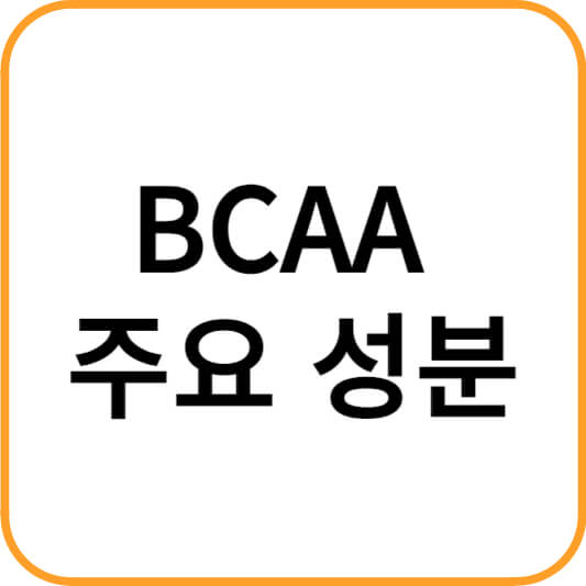 BCAA 주요성분
