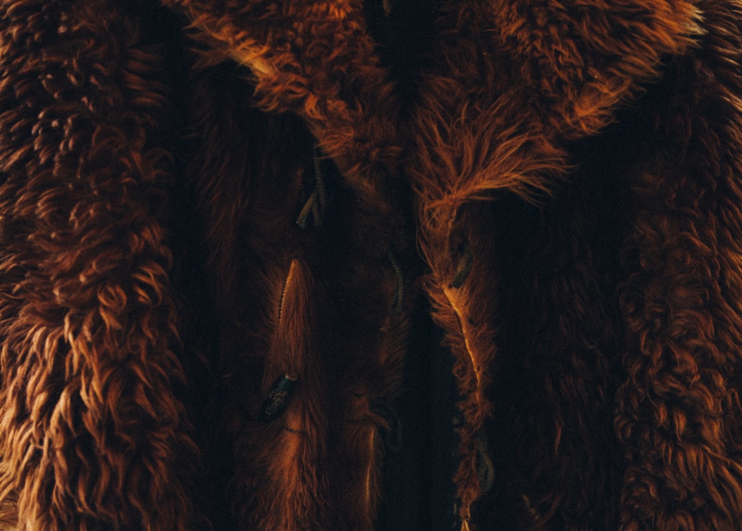 Outerwear