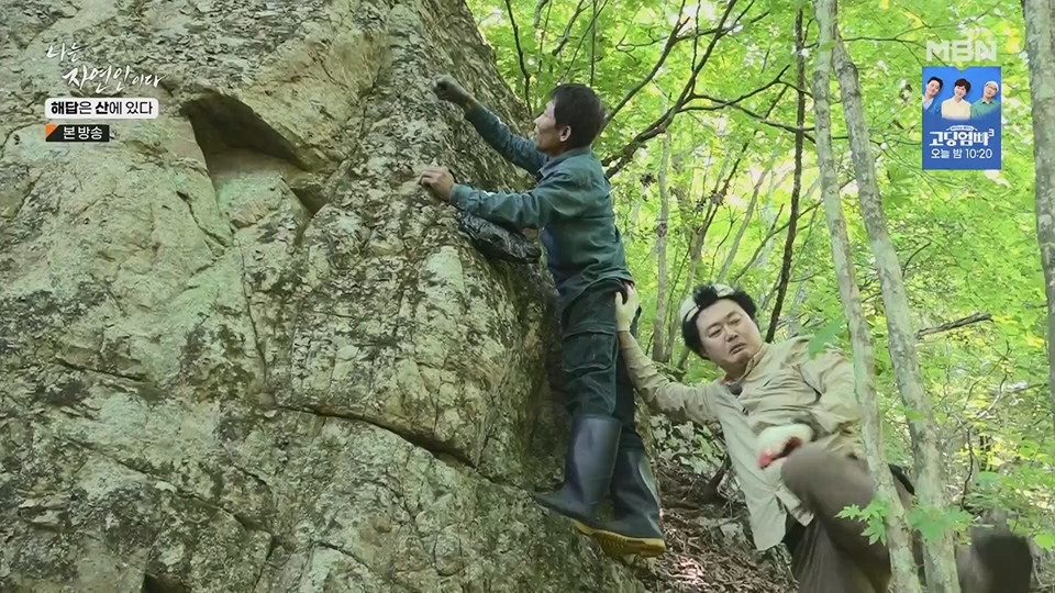 나는 자연인이다.E559.230621p.H264-F1RST.mp4_20230622_204021.693.jpg