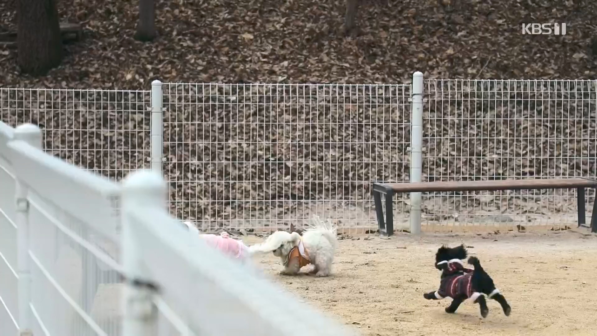 동네 한 바퀴.E259.240224p.H264-F1RST.mp4_20240225_171714.877.jpg
