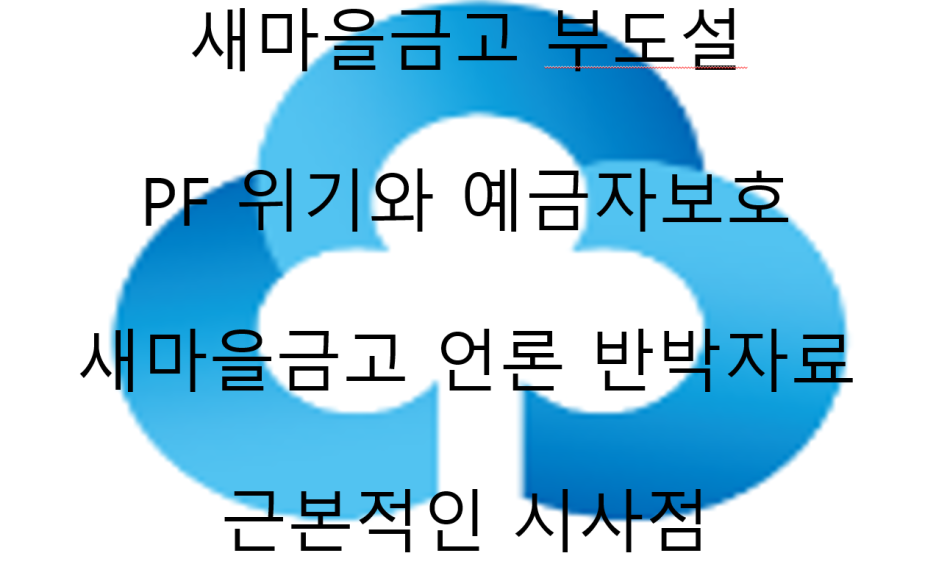  새마을금고 위기설과 시사점