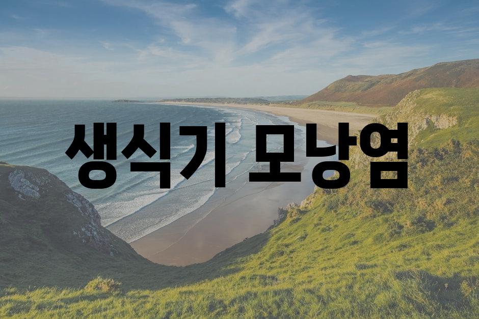 샘플 (86)