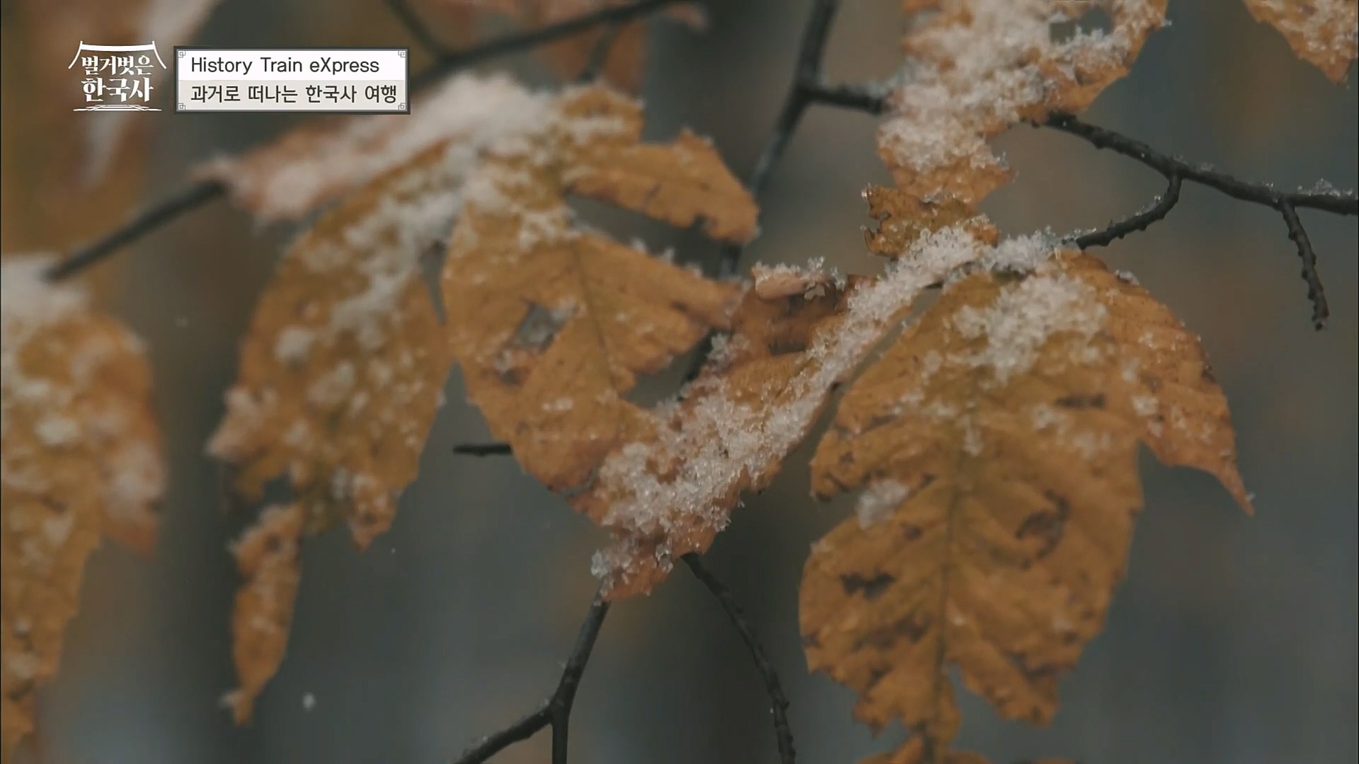 벌거벗은 한국사.E40.230125p.H264-F1RST.mp4_20230306_200623.650.jpg