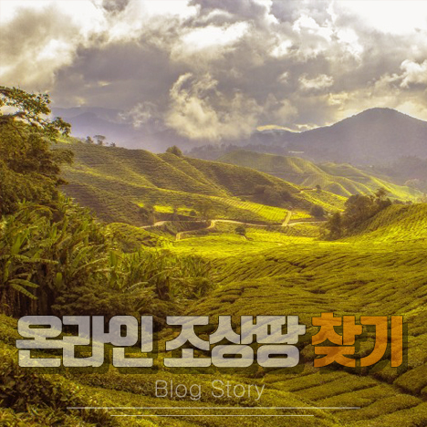 조상땅 찾기