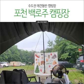 수도권 애견동반 여행지 5선 완벽 가이드 반려견 동반 산책 주말 여행지 추천_2